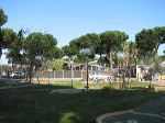 5 PINI 016.jpg